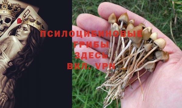 скорость Арсеньев