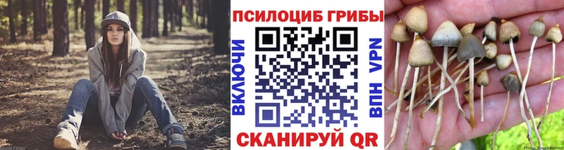 как найти   Салехард  кракен онион  Галлюциногенные грибы Cubensis 